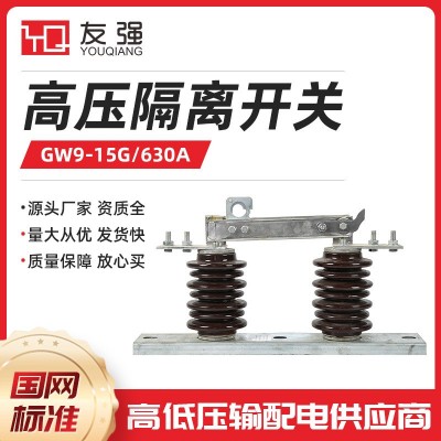 10KV高压隔离开关GW9-10G/630A新型隔离开关柱上开关HGW9-10/630A    1只