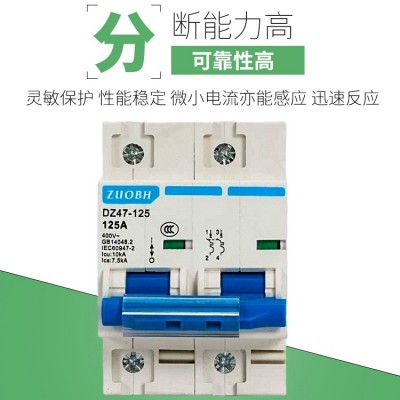 空气开关DZ47-125家用空开1P 2P 3P 4P 小型断路器80A100A 125A