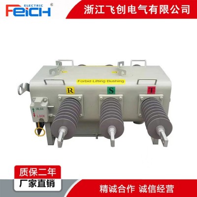 户外柱上SF6绝缘负荷开关FLW34-11KV/630A PGS-12 KF W-12