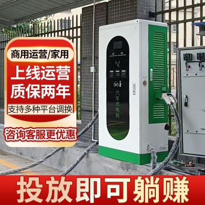 新能源汽车充电桩40KW直流快充充电桩9孔商用直流120KW双枪充电桩