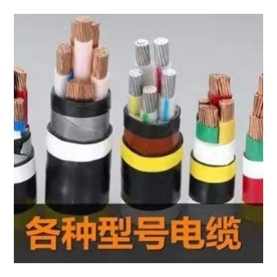 加工定制信缆国标ZC-YJV电线电缆WDZ-YJY0.6-1KV 1芯-5芯交联电缆